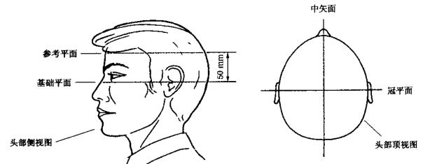 頭部平面示意圖